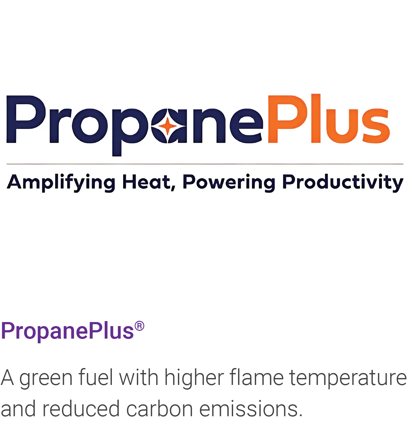 Proponeplus logo